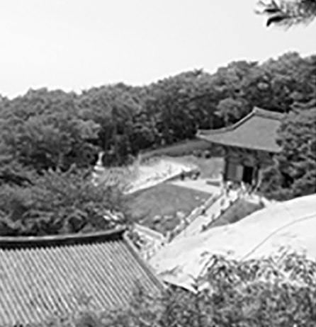 창건주 회정스님