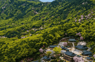 BOMUN TEMPLE|부처님의 가피가 항상 <br/>두루하시기를 간절히 기원합니다.