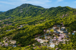 BOMUN TEMPLE|부처님의 가피가 항상 <br/>두루하시기를 간절히 기원합니다.