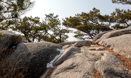 등산로